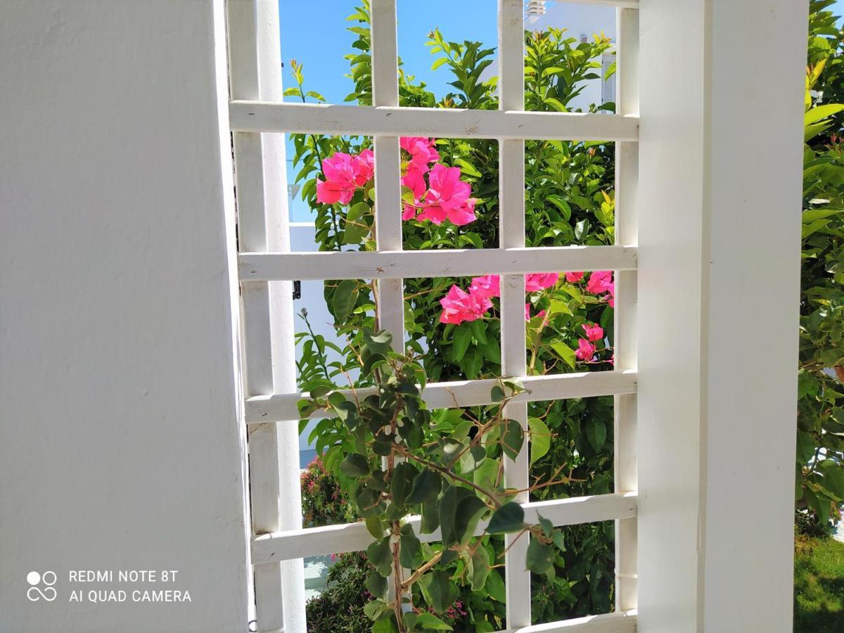 Geoni'S Villa & Garden Spa Apollonia  Exterior photo